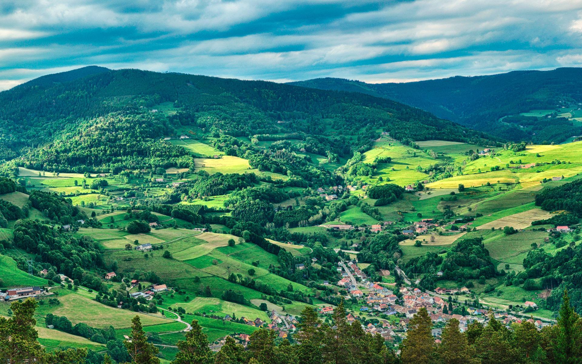 Photographie panoramique de la vallée verdoyante de Munster, au coeur des Vosges.